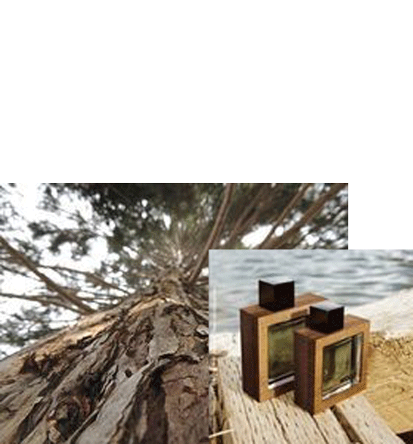  عطر ادکلن هی وود راکی مانتین وود مشکی  He Wood Rocky Mountain Wood.png