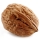 گردو Walnut