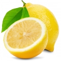 لیموLemon