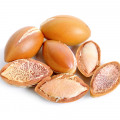 آرگان Argan