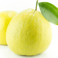 ترنجBergamot