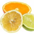 Citruses مرکبات