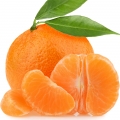 Clementine کلمانتین