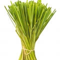  علف لیموLemongrass