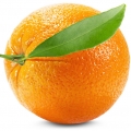  نارنگیOrange