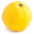 یوزو Yuzu