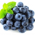 بلوبری Blueberry