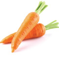 هویج Carrot