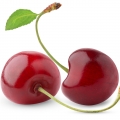 گیلاس Cherry