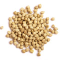 نخود Chickpeas