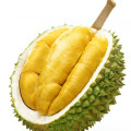 دوریان Durian