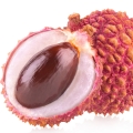 لیچی Litchi