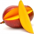 انبه Mango 