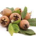 مدلار Medlar