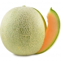 خربزه Melon