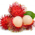 رامبوتانRambutan