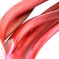 ریواس  Rhubarb