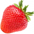 توت فرنگی Strawberry