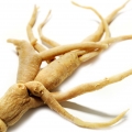 جینسینگ Ginseng