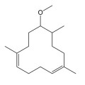 لورنوکسLorenox