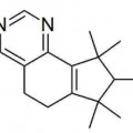 سینفوناید Sinfonide